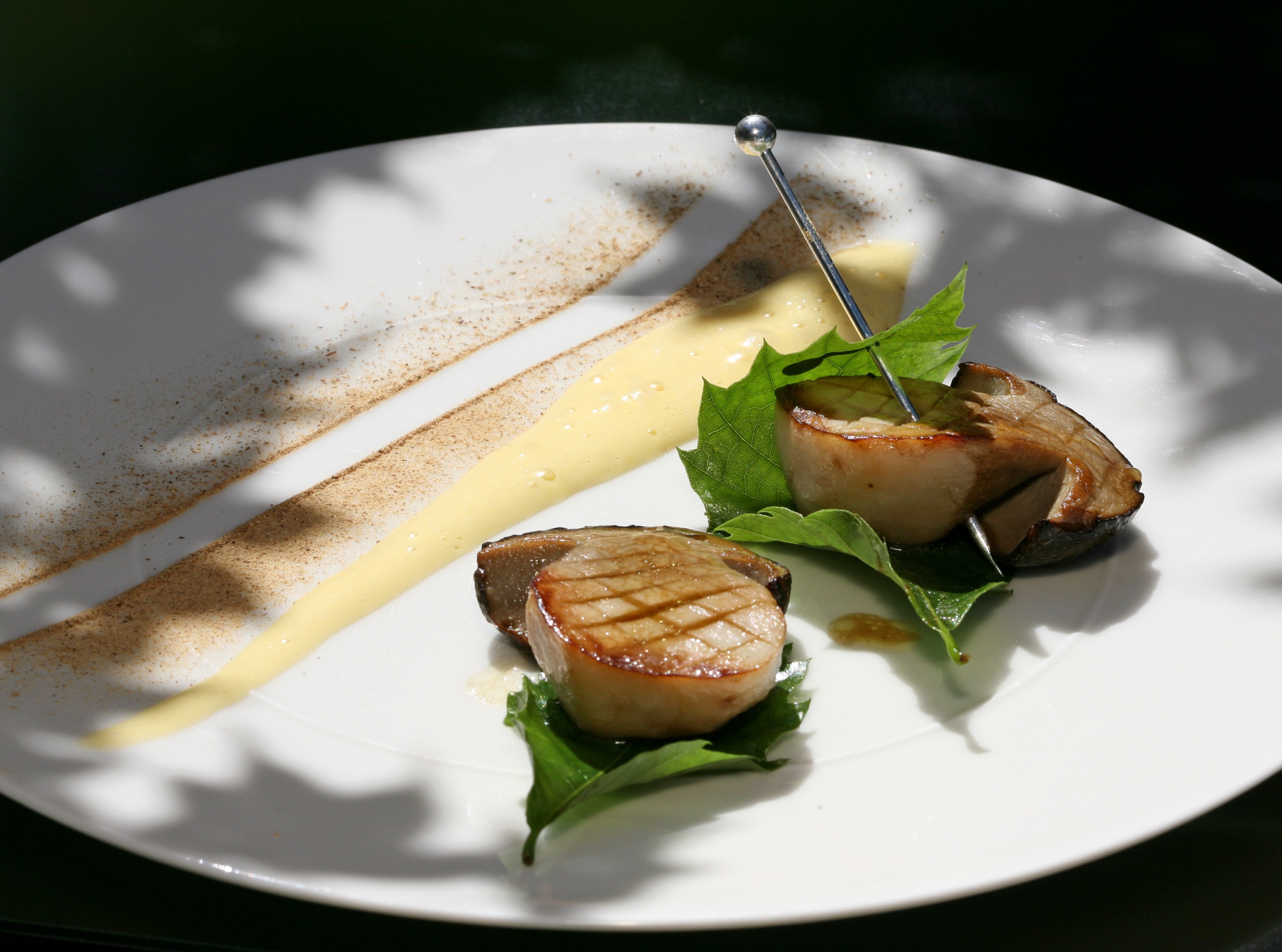 les maisons marcon regis et jacques marcon saint bonnet le froid